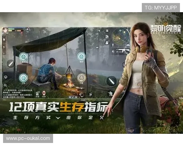 星空体育官网登录常见问题解答，帮助用户快速解决登录难题